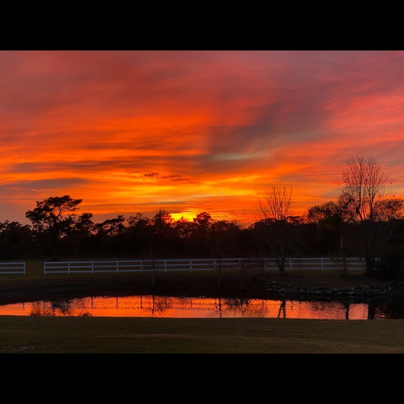 Meet your Posher, Julie - Picture 1 of 1